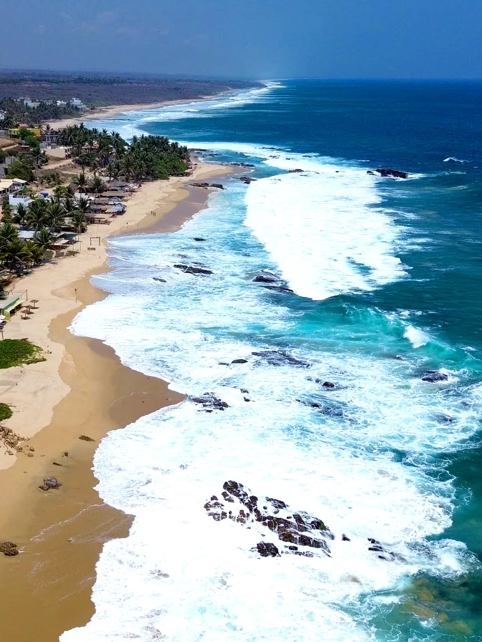 Playa agua blanca Los mejores mariscos de la costa de Oaxaca
